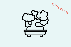 Bonsai by Oliviu Stoian from the Noun Project
