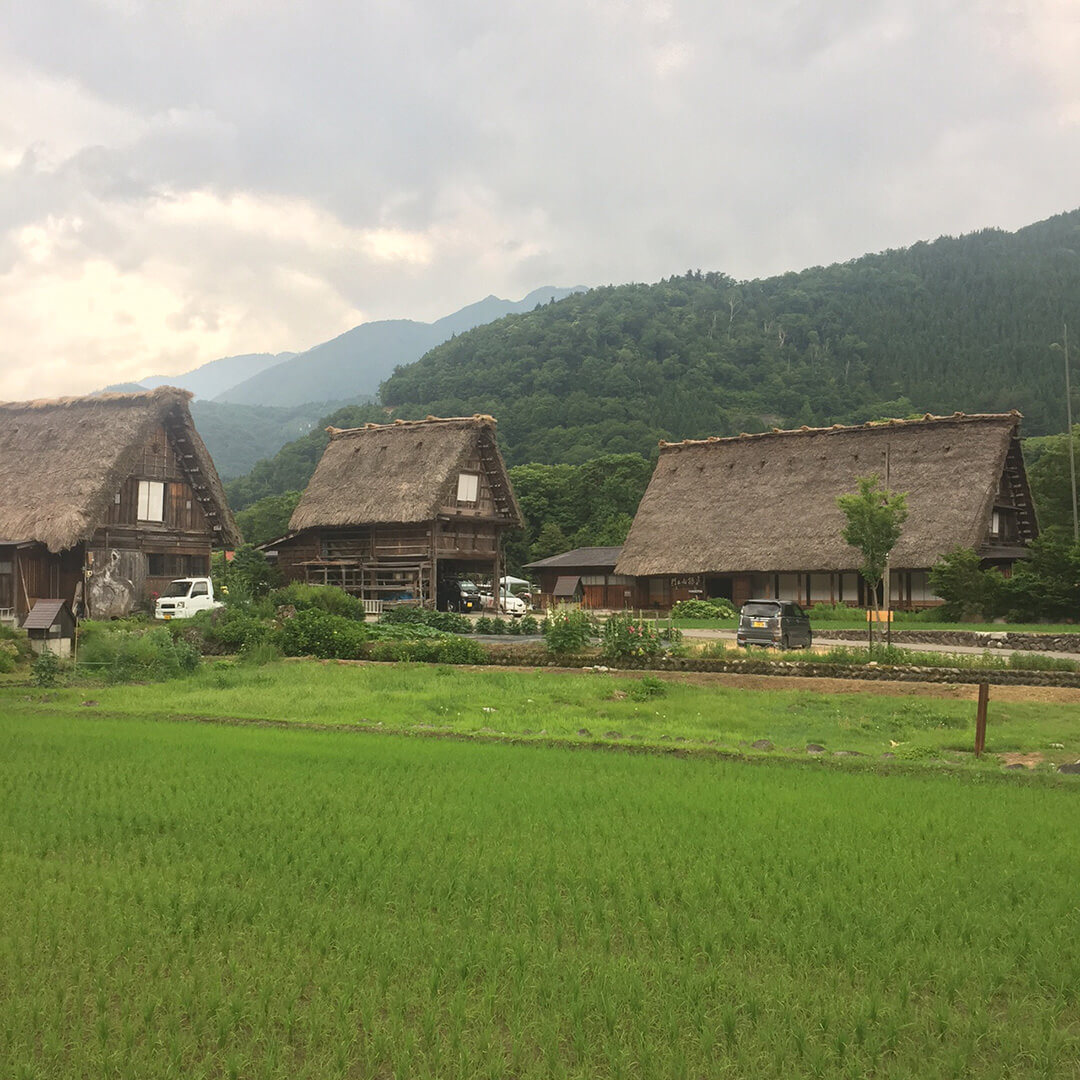 Le case gassho-zukuri di Shirakawa-go