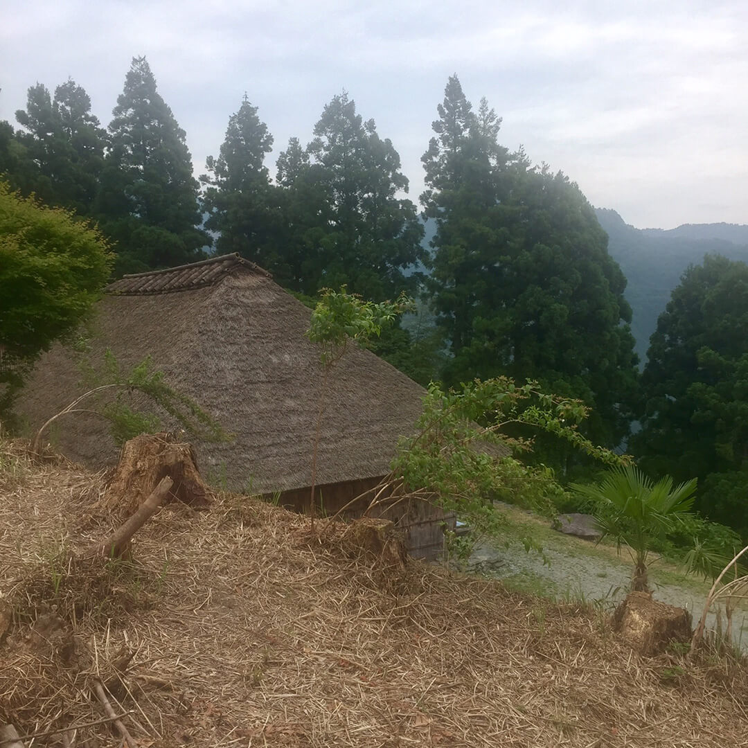 Chiiori valle Iya
