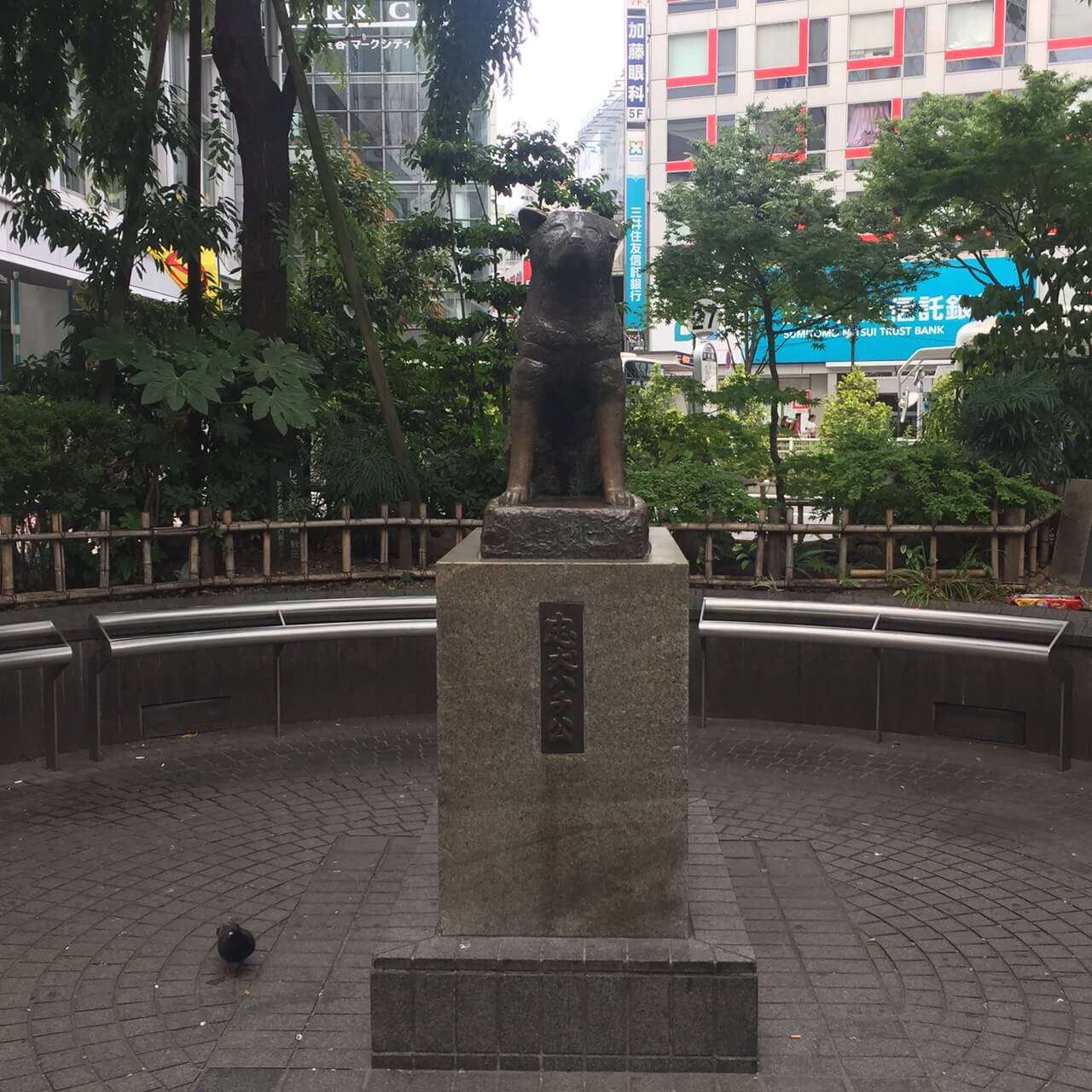 Hachiko Shibuya