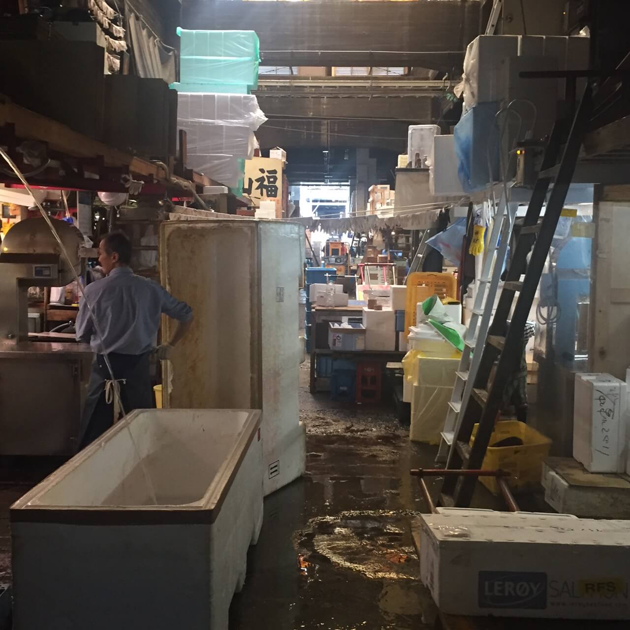 Il mercato del pesce di Tsukiji