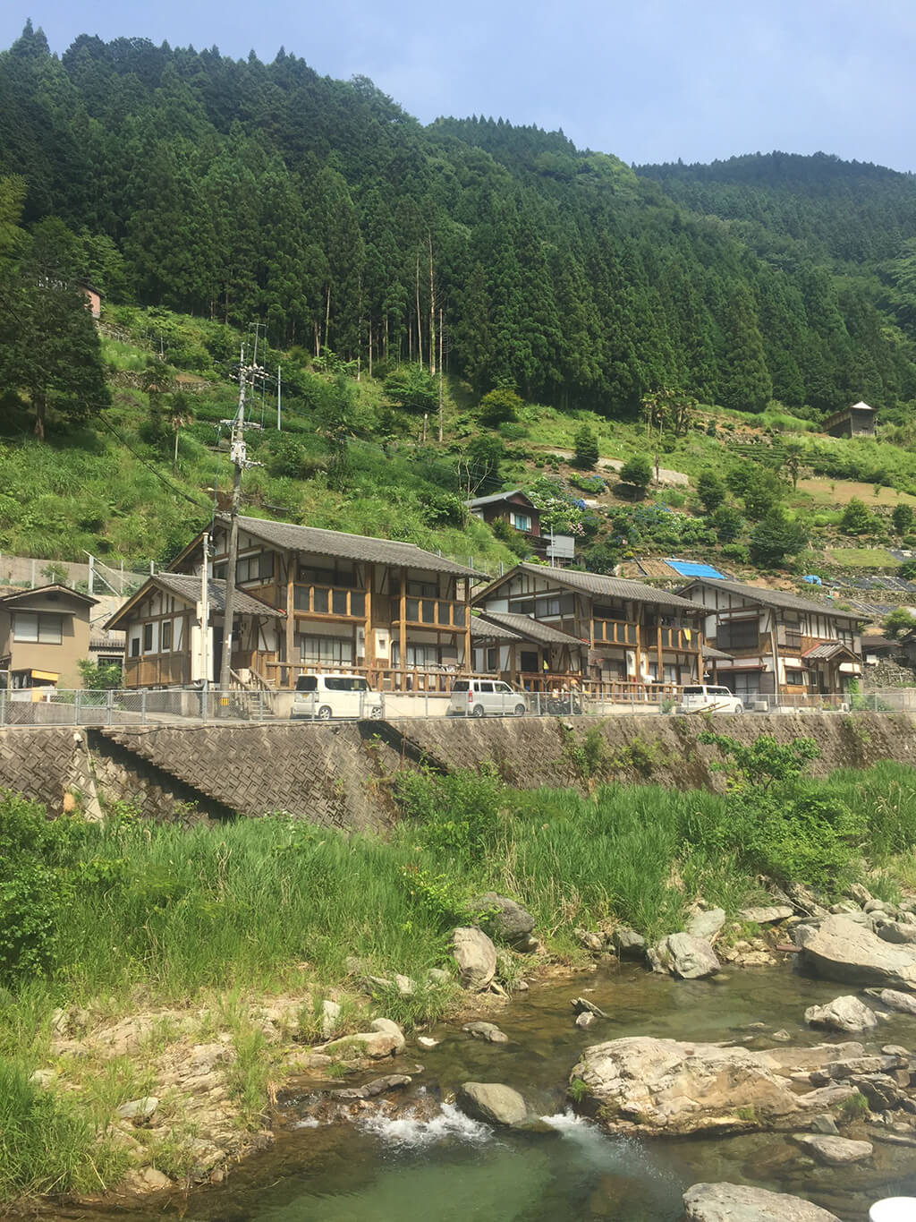Il paesaggio dello Shikoku, valle Iya