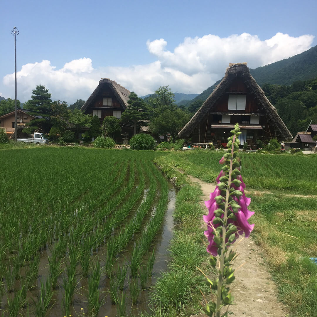 Shirakawa-go case in stile gassho