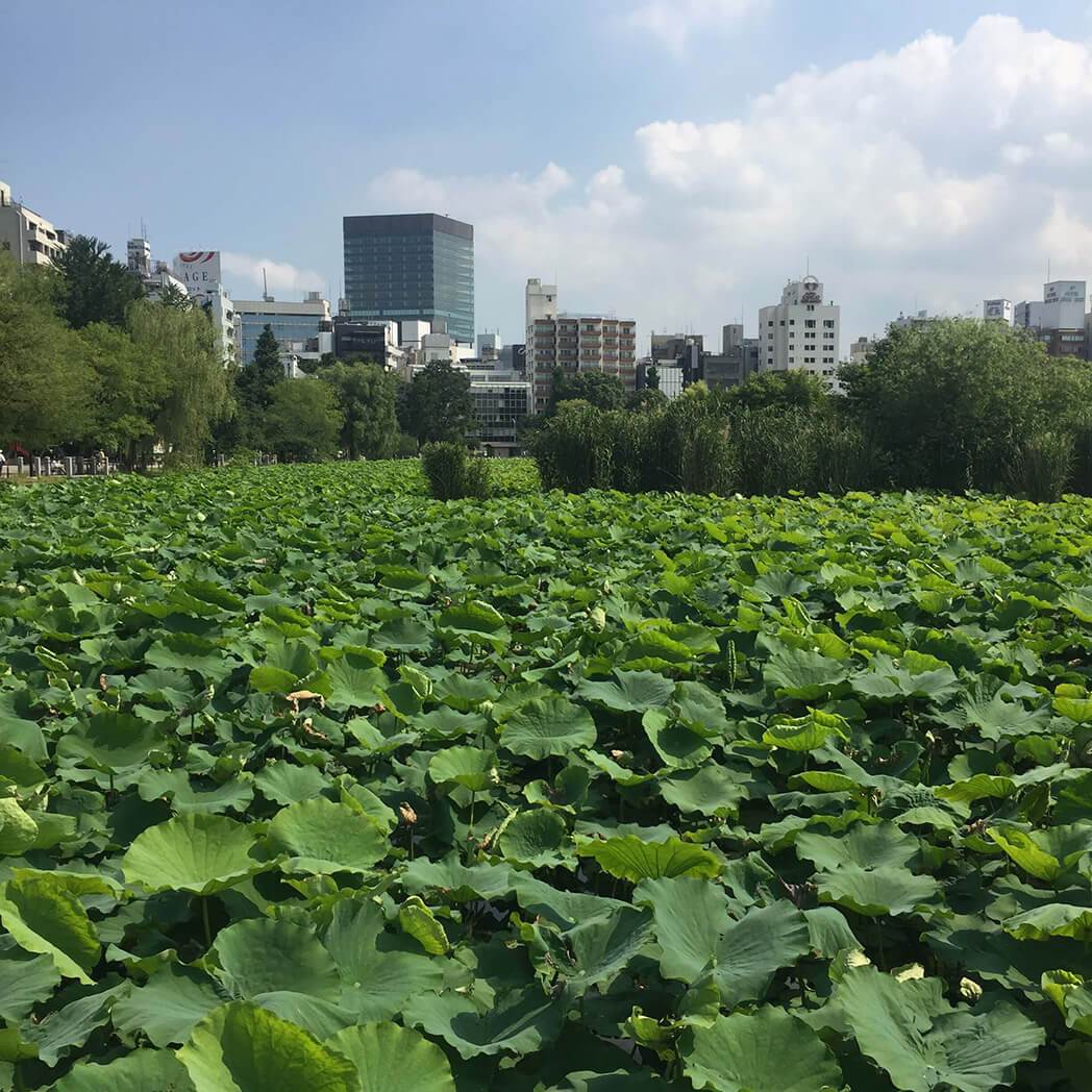 Ueno Park Tokyo